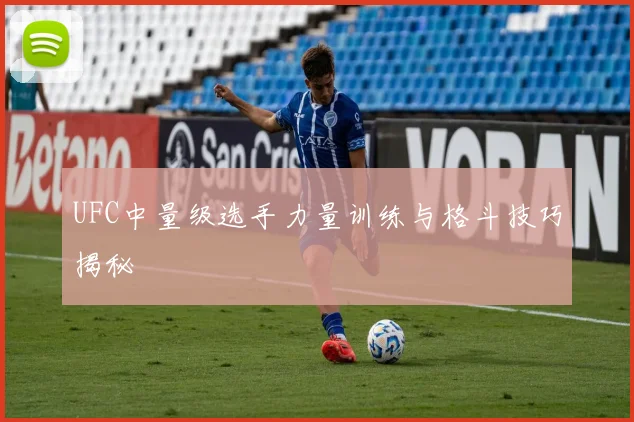 UFC中量级选手力量训练与格斗技巧揭秘