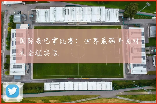 国际扇巴掌比赛：世界最强耳光对决全程实录