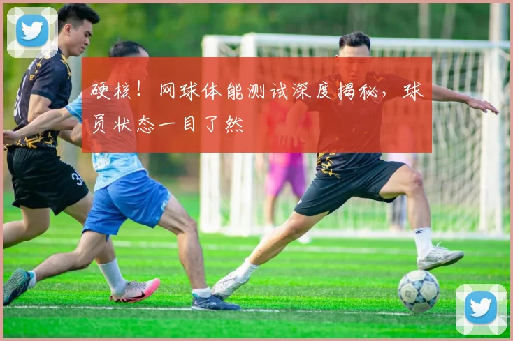 硬核!网球体能测试深度揭秘,球员状态一目了然