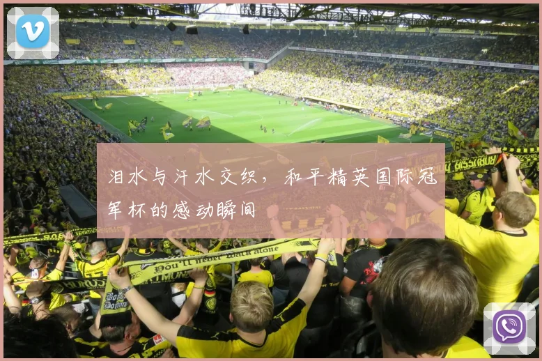 泪水与汗水交织,和平精英国际冠军杯的感动瞬间