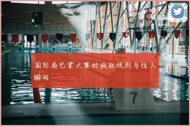 国际扇巴掌大赛的疯狂规则与惊人瞬间
