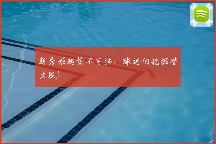新秀崛起势不可挡，球迷们挖掘潜力股！