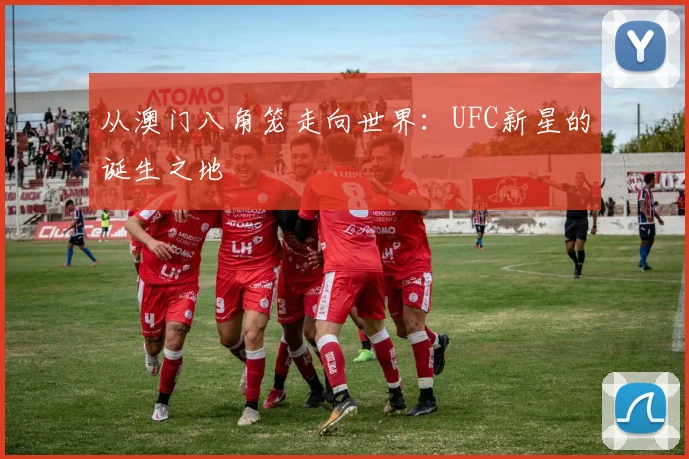 从澳门八角笼走向世界：UFC新星的诞生之地