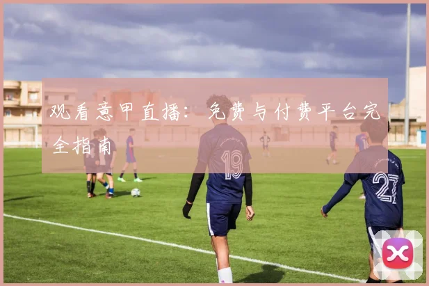 观看意甲直播：免费与付费平台完全指南