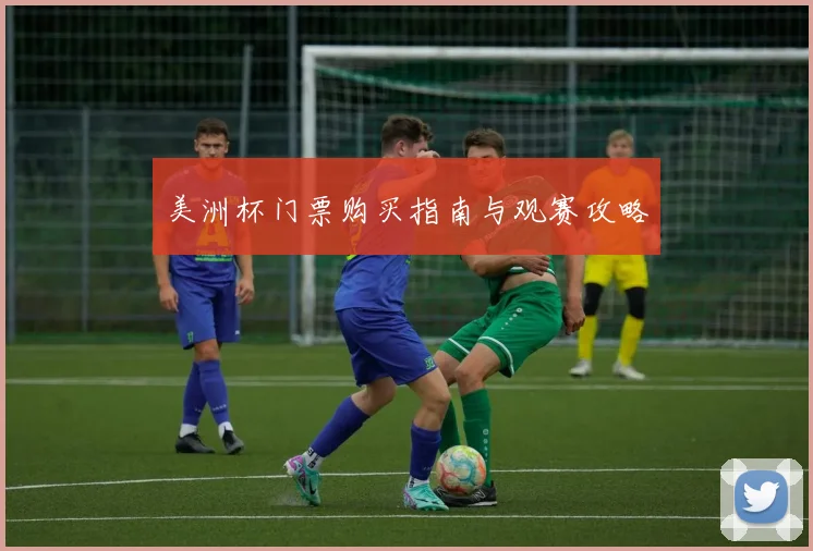 美洲杯门票购买指南与观赛攻略