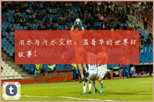 泪水与汗水交织，温哥华的世界杯故事！