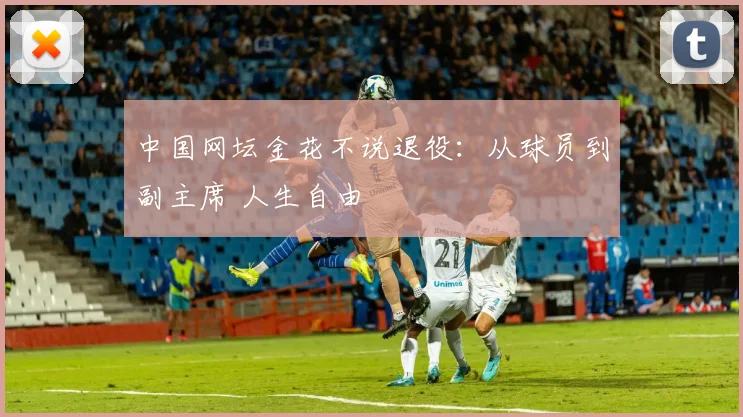 中国网坛金花不说退役：从球员到副主席 人生自由