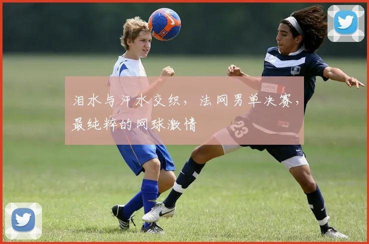 泪水与汗水交织,法网男单决赛,最纯粹的网球激情