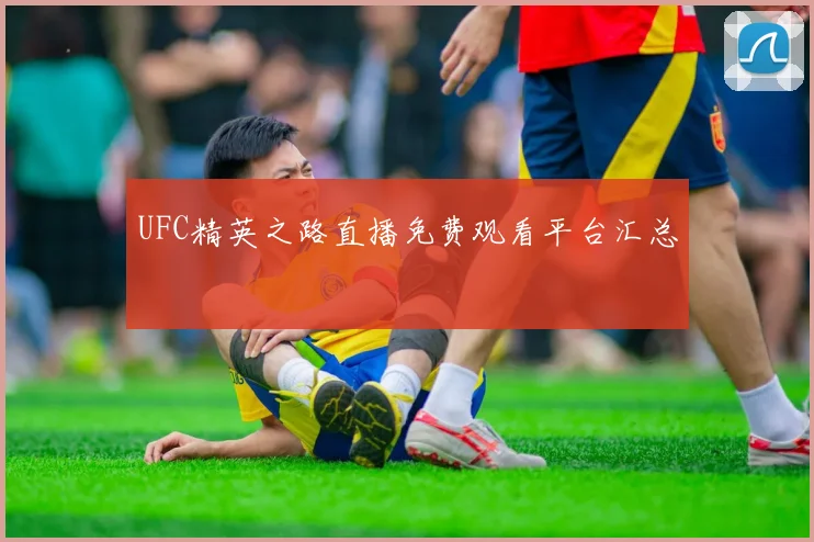 UFC精英之路直播免费观看平台汇总