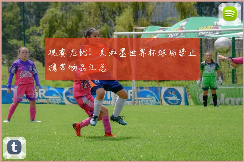 观赛无忧！美加墨世界杯球场禁止携带物品汇总