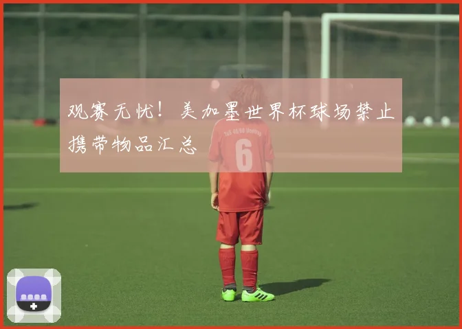 观赛无忧!美加墨世界杯球场禁止携带物品汇总